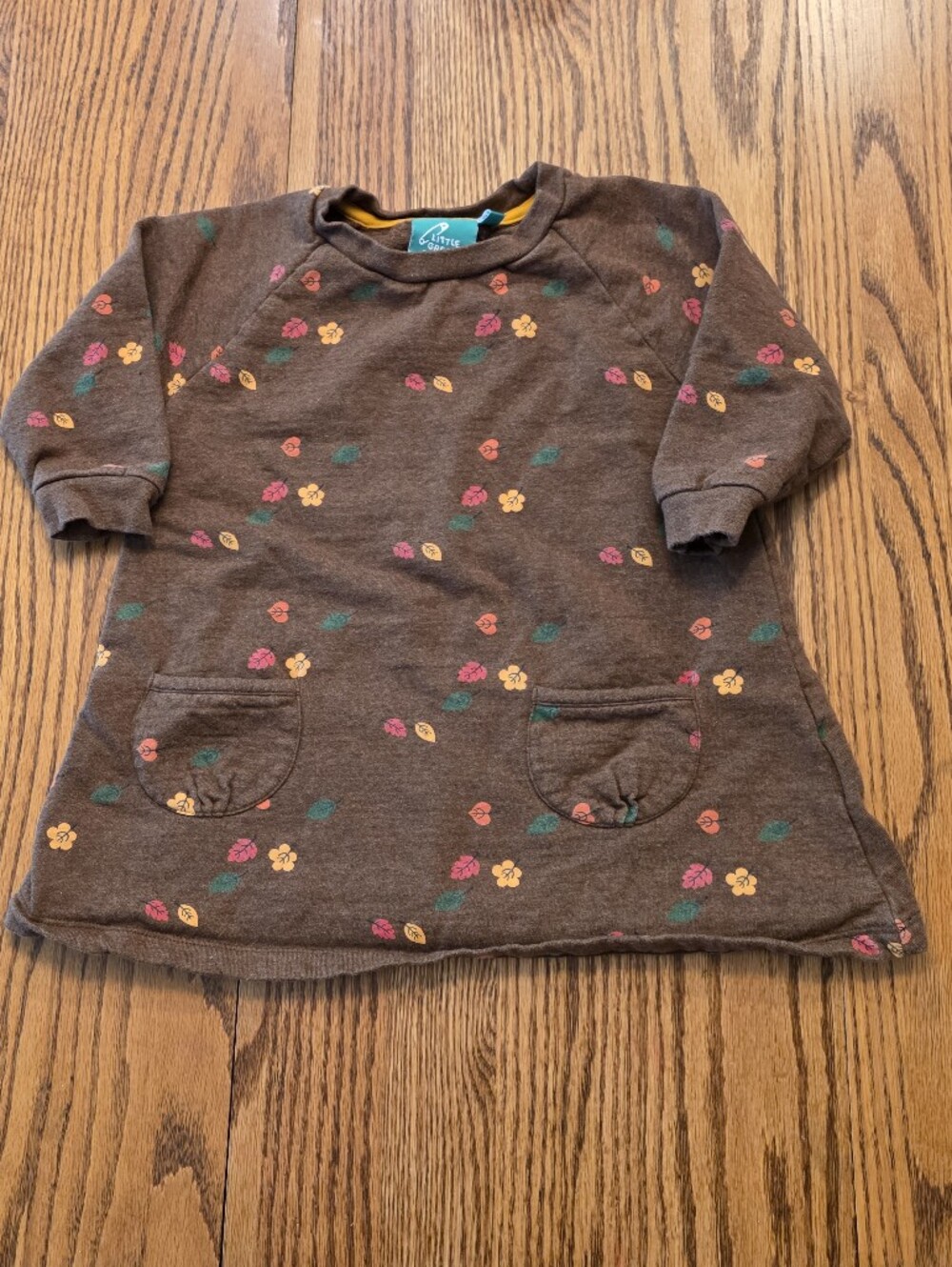 Little Green Radicals 18-24 Months Fall Leaves Leaf Sweatshirt Dress Organic